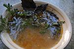     
: _DSC1214.jpg
: 26
:	134.2 
ID:	1320614