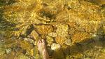     
: IMG_20190913_150518.jpg
: 27
:	198.6 
ID:	13206603