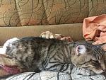    
: IMG_0893.jpg
: 22
:	211.9 
ID:	13207280