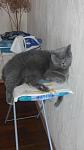     
: IMG_20190914_163549.jpg
: 14
:	62.3 
ID:	13208028