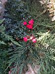     
: P90915-163518.jpg
: 9
:	203.7 
ID:	13208218