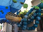     
: IMG_4112.jpg
: 24
:	150.1 
ID:	13209850