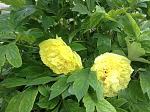     
: IMG_2368.jpg
: 11
:	166.1 
ID:	13210578