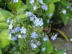     
: DSC04160.jpg
: 10
:	108.5 
ID:	13211259