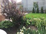     
: IMG_0278.jpg
: 7
:	267.3 
ID:	13212004
