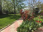     
: IMG_0212.jpg
: 8
:	303.1 
ID:	13212006
