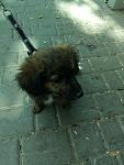     
: IMG_20190920_133132.jpg
: 12
:	117.6 
ID:	13212071