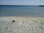     
: 20190922_122105-1.jpg
: 35
:	184.5 
ID:	13213286