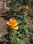     
: IMG_20190922_133029.jpg
: 8
:	104.4 
ID:	13213826