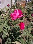     
: IMG_20190922_133017.jpg
: 7
:	158.2 
ID:	13213828