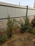     
: P90924-101436.jpg
: 11
:	122.9 
ID:	13214423