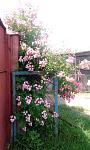     
: IMG_20190606_152647.jpg
: 236
:	115.1 
ID:	13214844