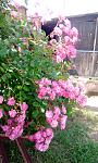     
: IMG_20190606_152701.jpg
: 201
:	139.7 
ID:	13214845