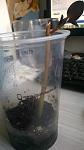     
: WP_20190926_007.jpg
: 26
:	52.0 
ID:	13215873