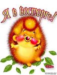     
: 348577_52256nothumb650.jpg
: 12
:	47.2 
ID:	13217142