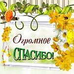     
: spasibo0038.jpg
: 17
:	151.1 
ID:	13217219