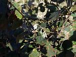     
: 2019_0909-05.jpg
: 9
:	150.3 
ID:	13217339