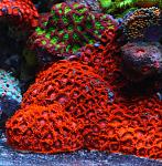     
: 20190225_022059.jpg
: 19
:	80.3 
ID:	13217641