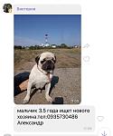     
: 10300AC4-3044-44E7-B318-A3017C7CA23A.jpg
: 13
:	47.0 
ID:	13217787