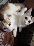     
: IMG_20190929_161927.jpg
: 39
:	78.5 
ID:	13218120