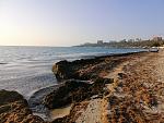     
: IMG_20190930_075529.jpg
: 40
:	205.6 
ID:	13218121