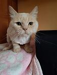     
: _viber_2019-10-01_20-50-34.jpg
: 35
:	69.7 
ID:	13219729