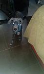     
: IMG_20190924_185504.jpg
: 79
:	42.1 
ID:	13220263