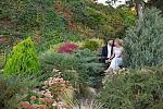     
: IMG_5920.jpg
: 22
:	275.8 
ID:	13220340
