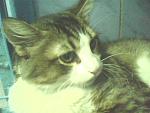     
: IMG0180A.jpg
: 50
:	85.9 
ID:	1322049