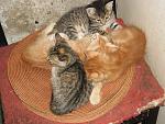     
: SAM_0829.jpg
: 14
:	190.1 
ID:	13221408