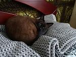     
: IMG_20191004_145120.jpg
: 9
:	149.4 
ID:	13222610