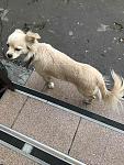     
: IMG-451b70c1f80dd9940b121f5423accf40-V.jpg
: 27
:	188.5 
ID:	13226653