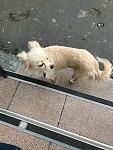     
: IMG-c4a623597ca687b181913ae6f8818037-V.jpg
: 23
:	194.2 
ID:	13226654