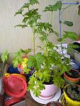     
: IMG_20190412_174331.jpg
: 14
:	153.1 
ID:	13226776