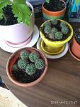     
: IMG_20190412_174723.jpg
: 14
:	110.0 
ID:	13226777