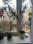     
: IMG_20190417_130849.jpg
: 14
:	141.1 
ID:	13226779