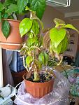     
: IMG_20190712_120049.jpg
: 15
:	98.9 
ID:	13226789