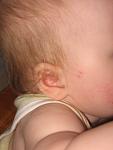     
: IMG_1537.jpg
: 23
:	45.5 
ID:	1322791