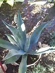     
: 101_2735.jpg
: 8
:	137.4 
ID:	13230032