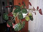     
: 20191012_195544.jpg
: 32
:	151.0 
ID:	13230103