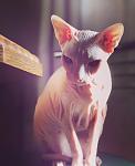     
: _viber_2019-10-16_00-26-04.jpg
: 15
:	49.1 
ID:	13231479