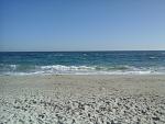     
: 20191016_134259.jpg
: 24
:	155.6 
ID:	13231731