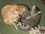     
: SAM_0843.jpg
: 11
:	186.8 
ID:	13231836