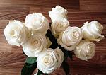     
: IMG_20191016_163218.jpg
: 18
:	142.4 
ID:	13231842