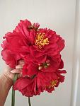     
: IMG_20190910_122653.jpg
: 13
:	62.2 
ID:	13232082