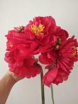     
: IMG_20190910_122711.jpg
: 16
:	63.3 
ID:	13232083