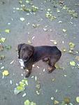     
: E9723162-8895-4BA0-86AE-442562FA55B9.jpg
: 30
:	56.3 
ID:	13232147
