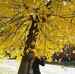     
: 20191013_130944.jpg
: 50
:	187.3 
ID:	13232648