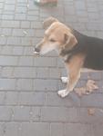     
: P91017-170825.jpg
: 15
:	40.2 
ID:	13232673