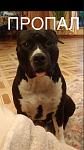     
: DCA264FB-4E84-4218-8368-8BD18A74AFA6.jpg
: 38
:	39.6 
ID:	13233862